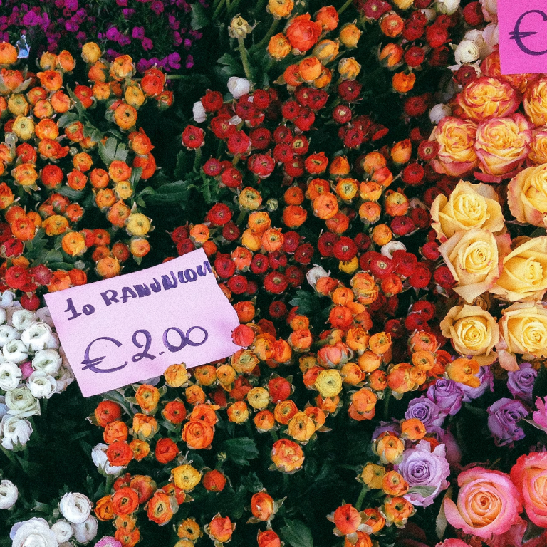 Daisy’s Delights