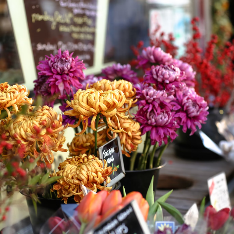 Floral Expressions