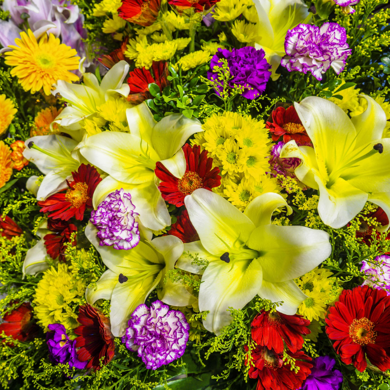 Garden Of Elegance