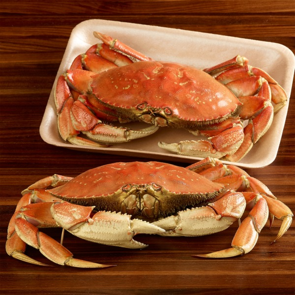Kirkland Signature Fresh Wild Whole Cooked Dungeness Crab