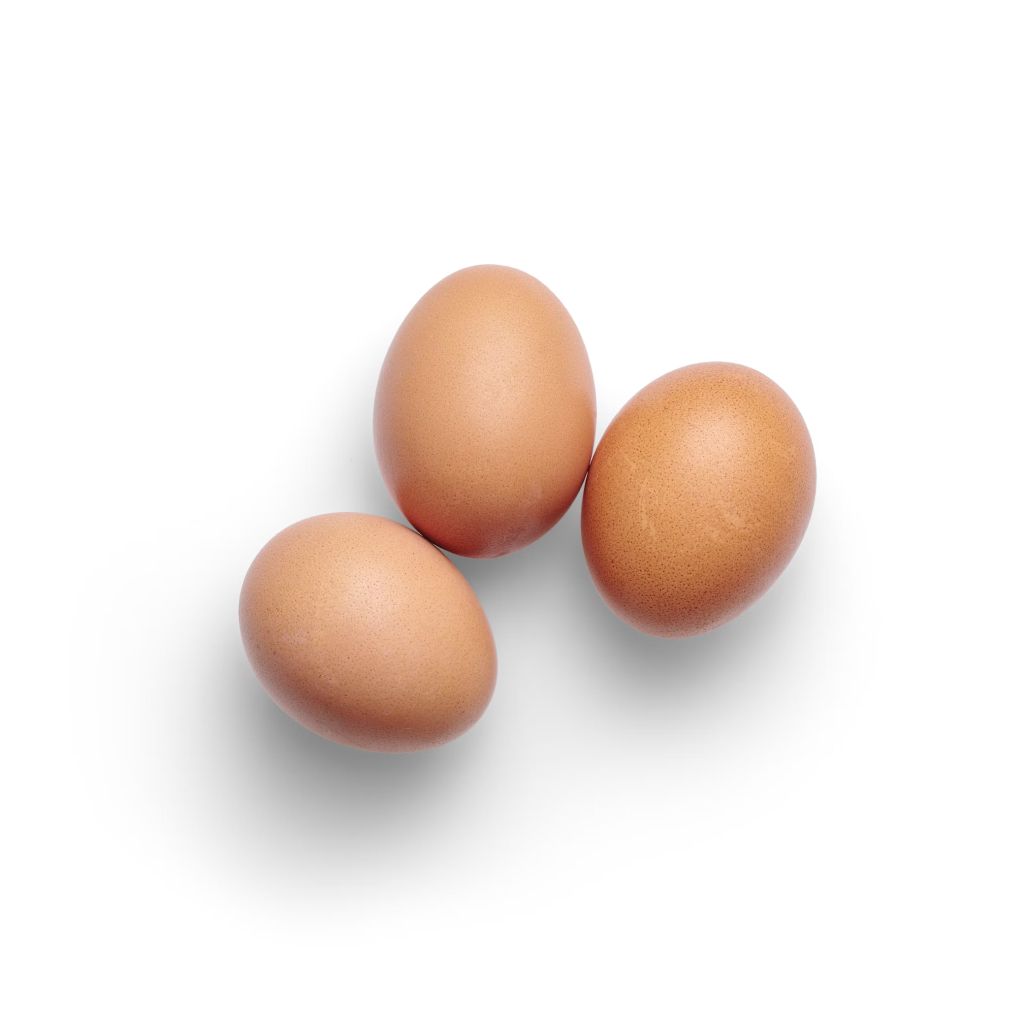 3  Brown Egg