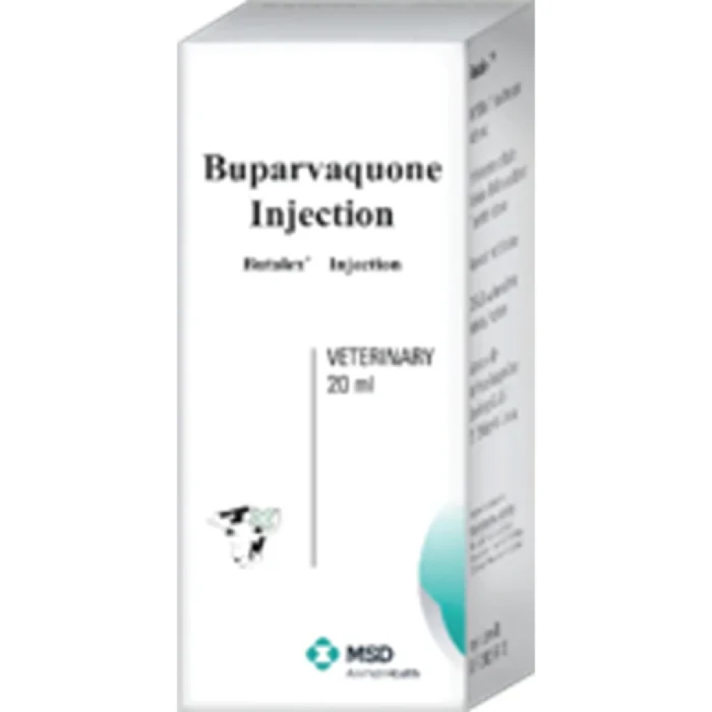 Butalex Injection