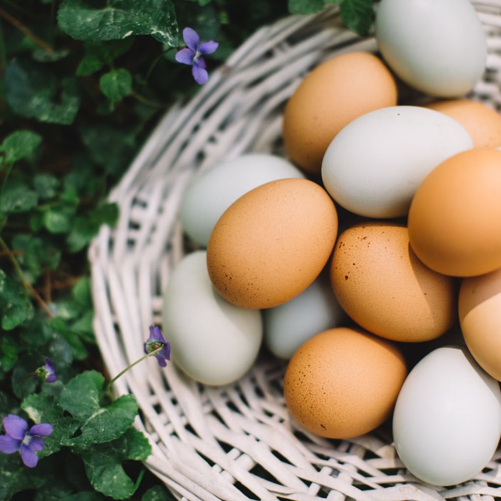 Brown Egg On White Woven