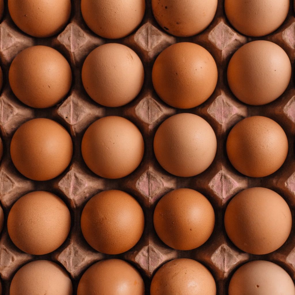 Native Egg