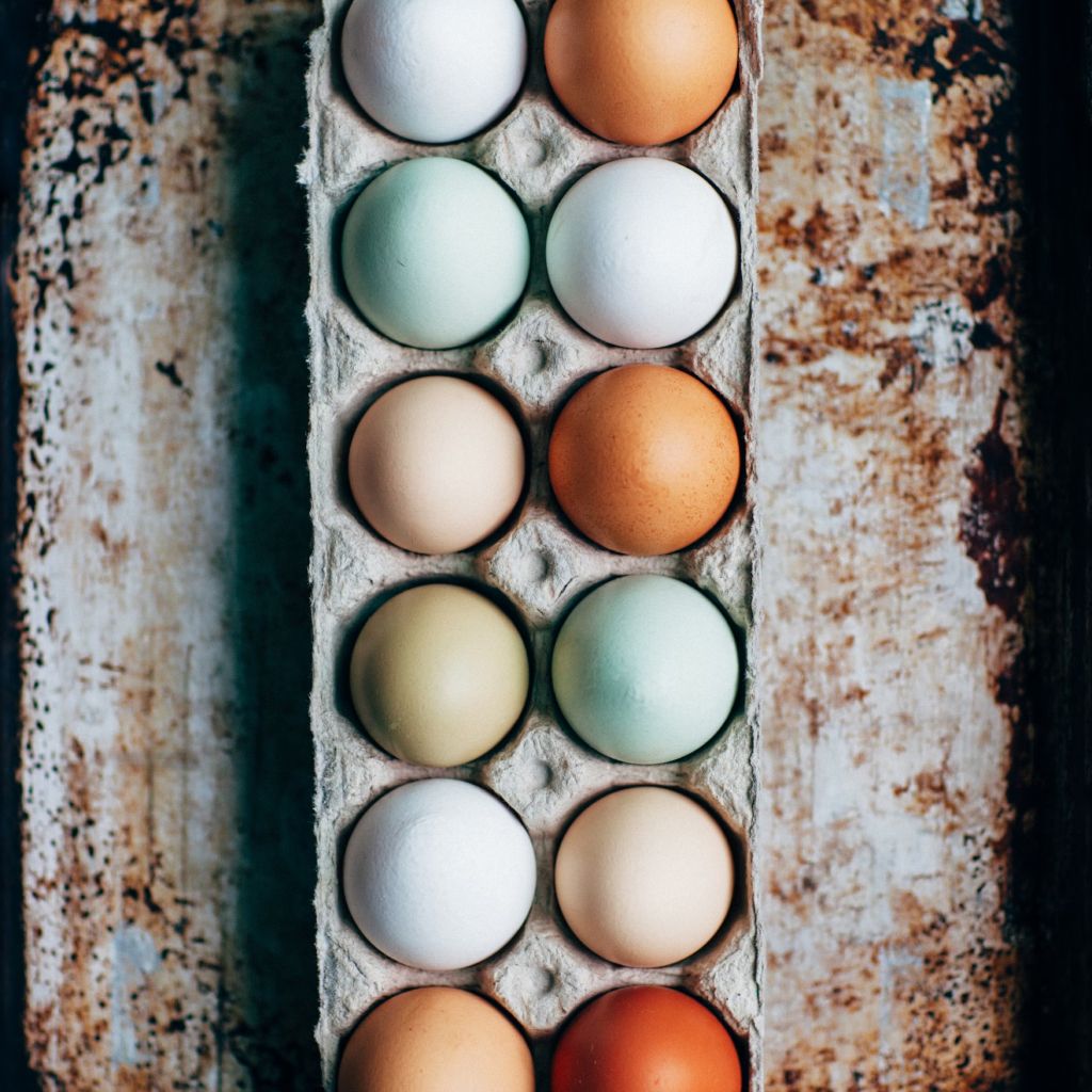 Dozen Eggs