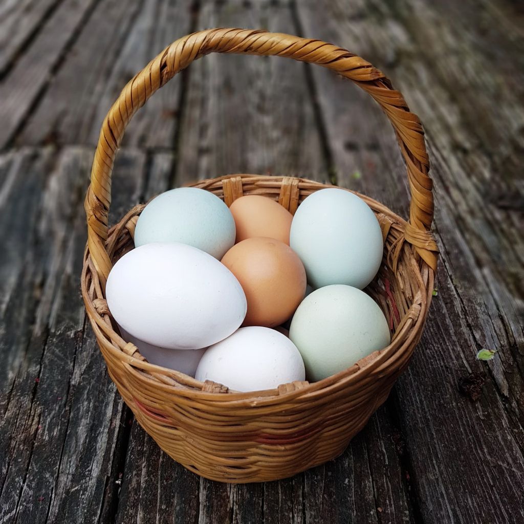 Basket Of Eggs